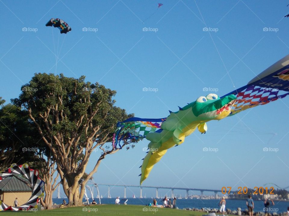 Park kites 