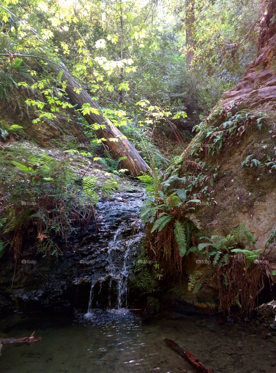 small waterfall in the wild. a nice bike in the heart of California