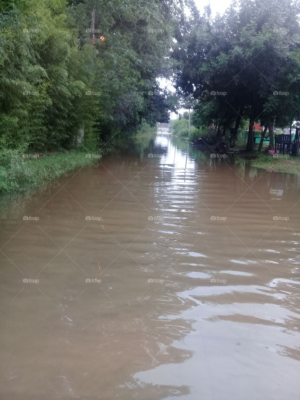 calle rural anegada por fuertes lluvias. General Rodríguez,provincia de Buenos Aires.Argentina