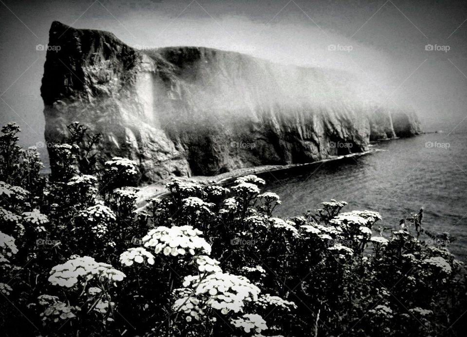 a monochrome view  of Percé  Québec  Canada