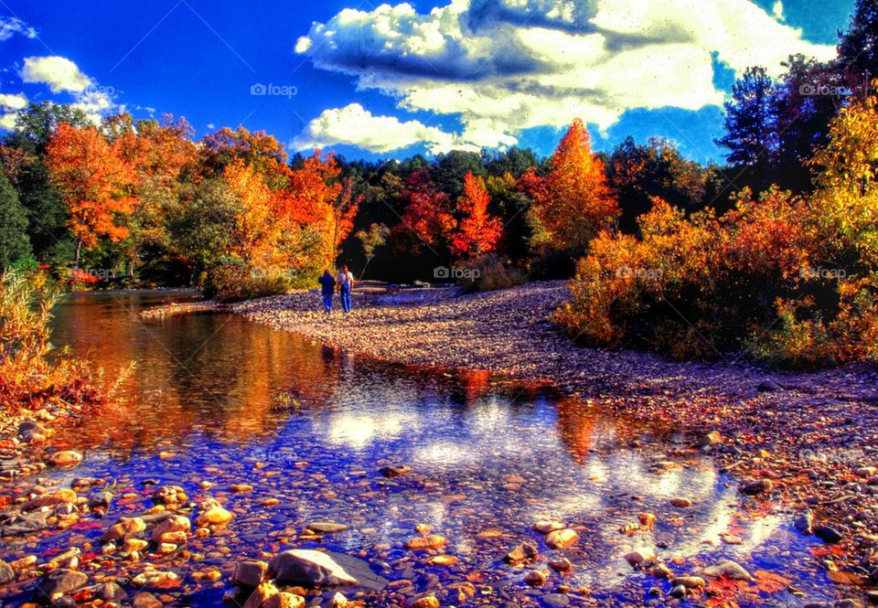 river in fall