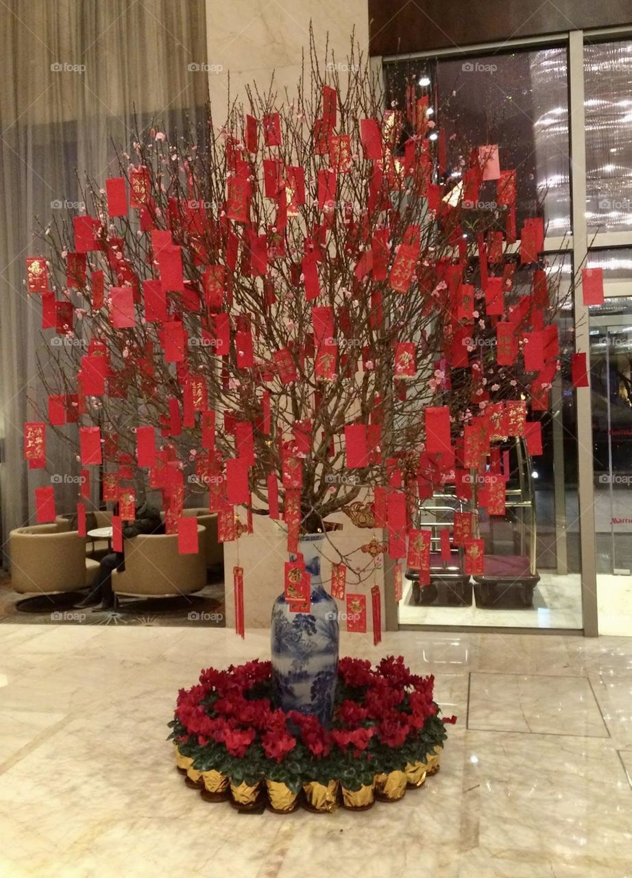 A grand tree stands festively adorned for Lunar New Year, its sturdy branches draped with numerous vibrant red envelopes, each symbolizing good fortune and prosperity. At the base, a circle of potted red plants forms a lush, festive border.