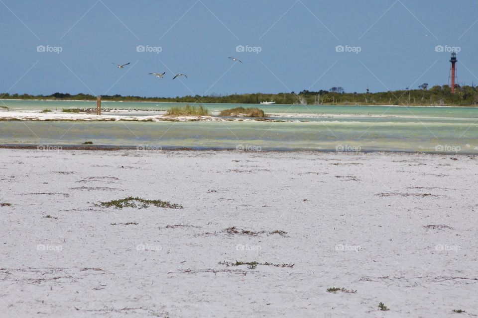 Anclote Key Beach