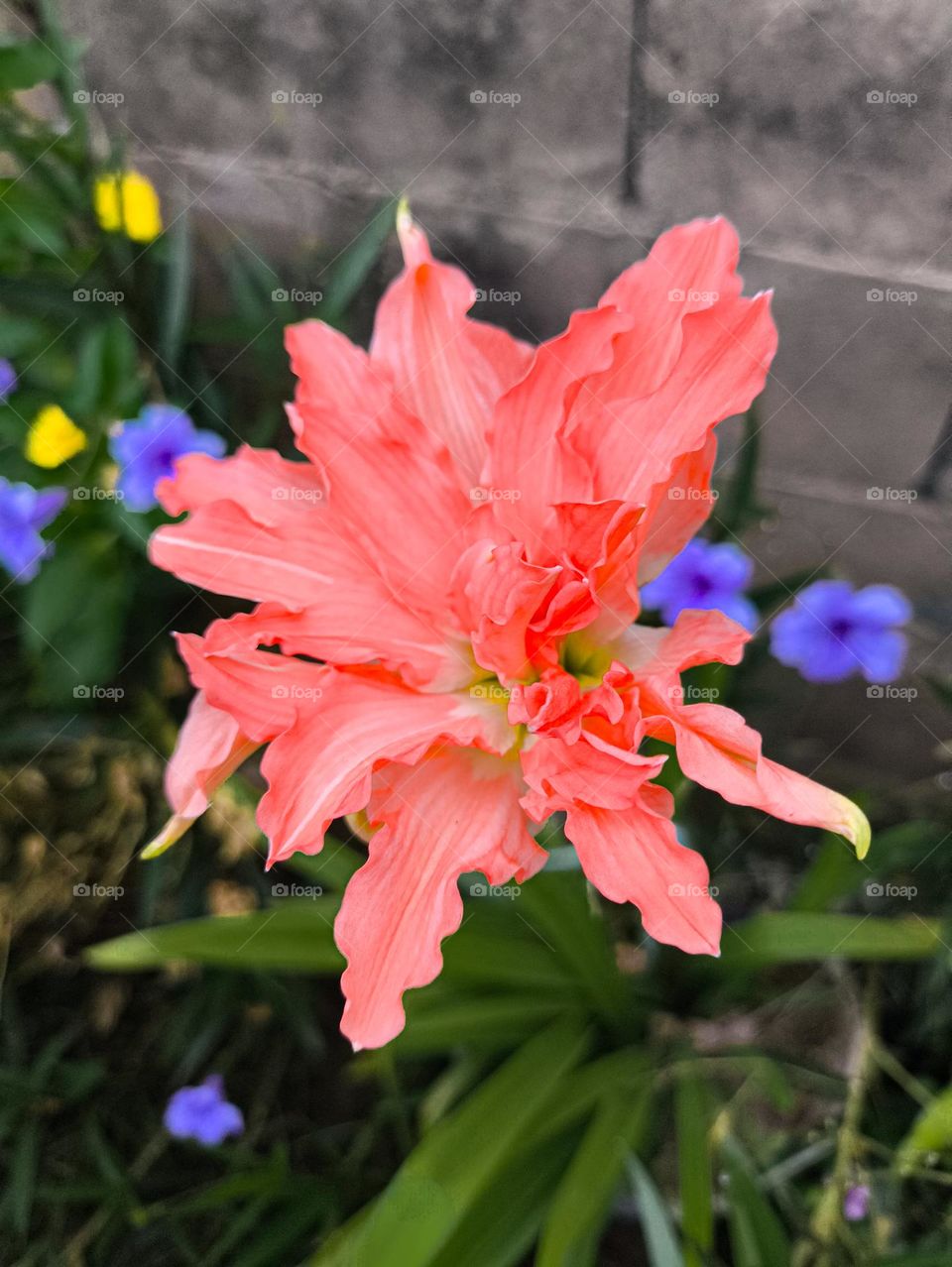 Naturaleza en todos lados