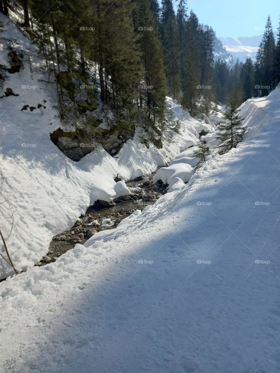 Alpine Stream of Melting Snow