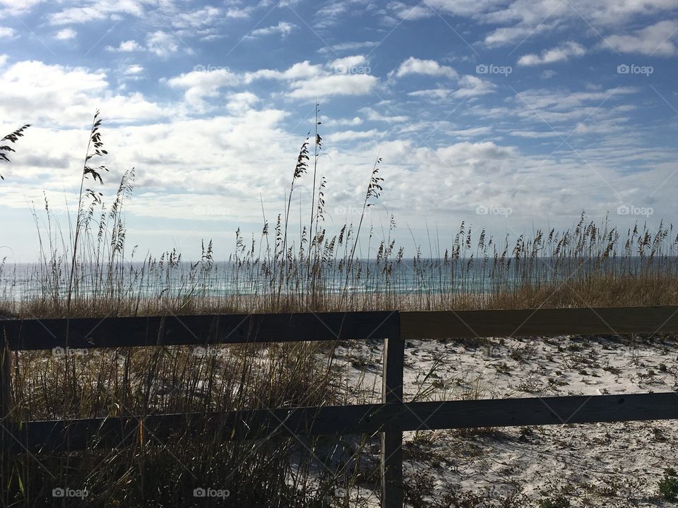 Pensacola beach 