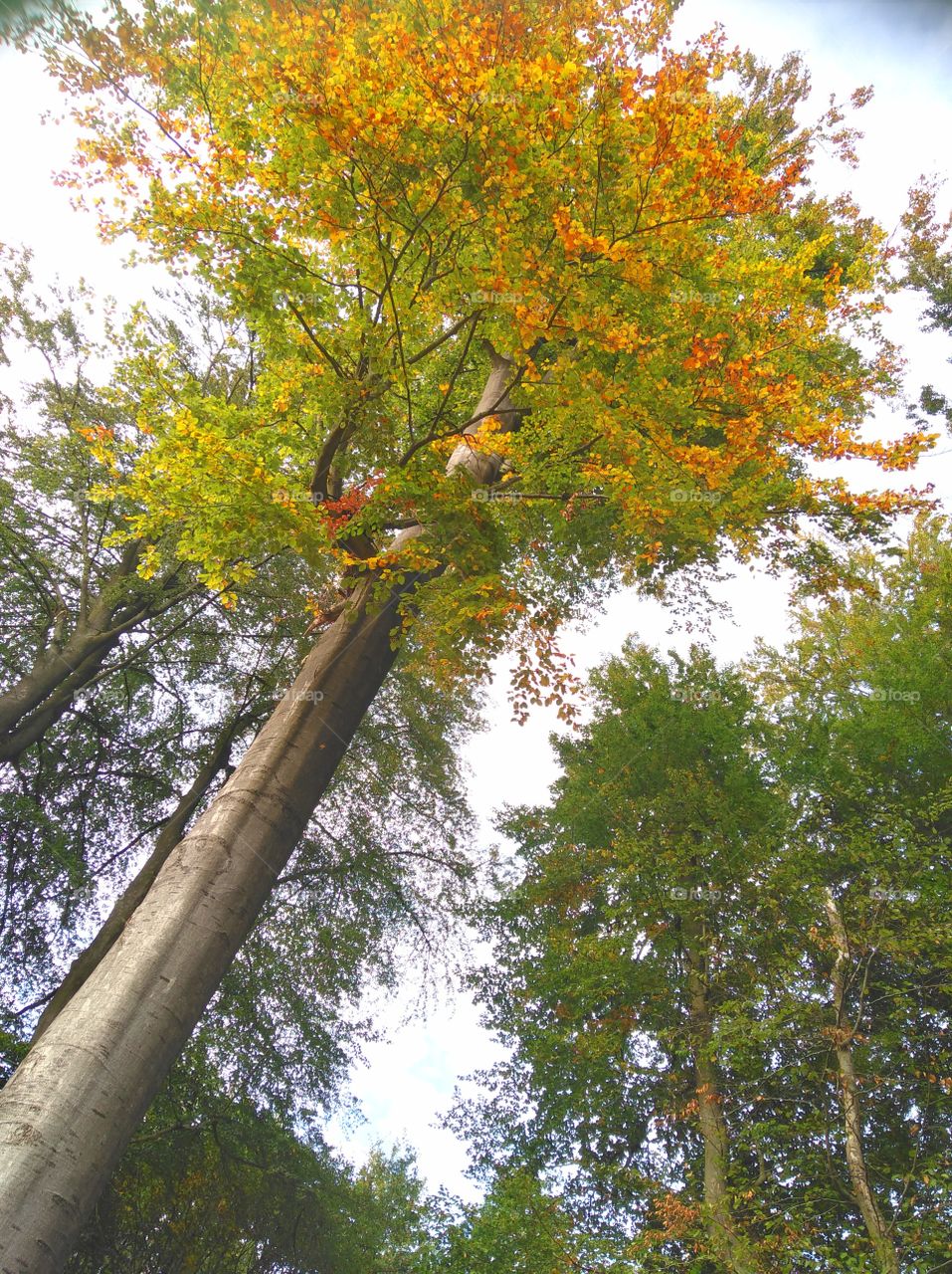 First signs of autumn