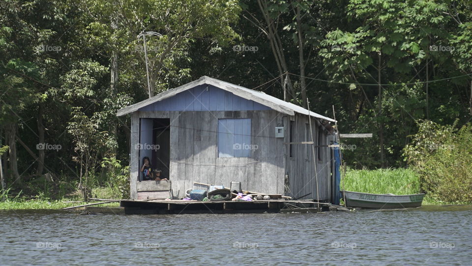 Fotos natureza, amazonas 