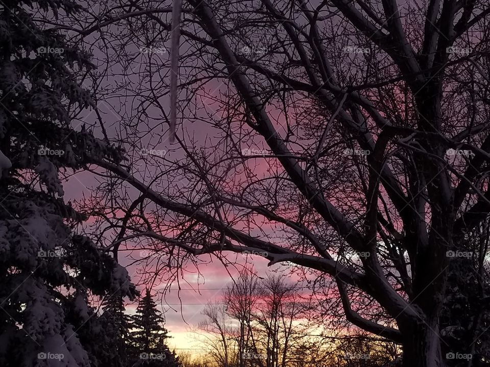 Snowy Sunset