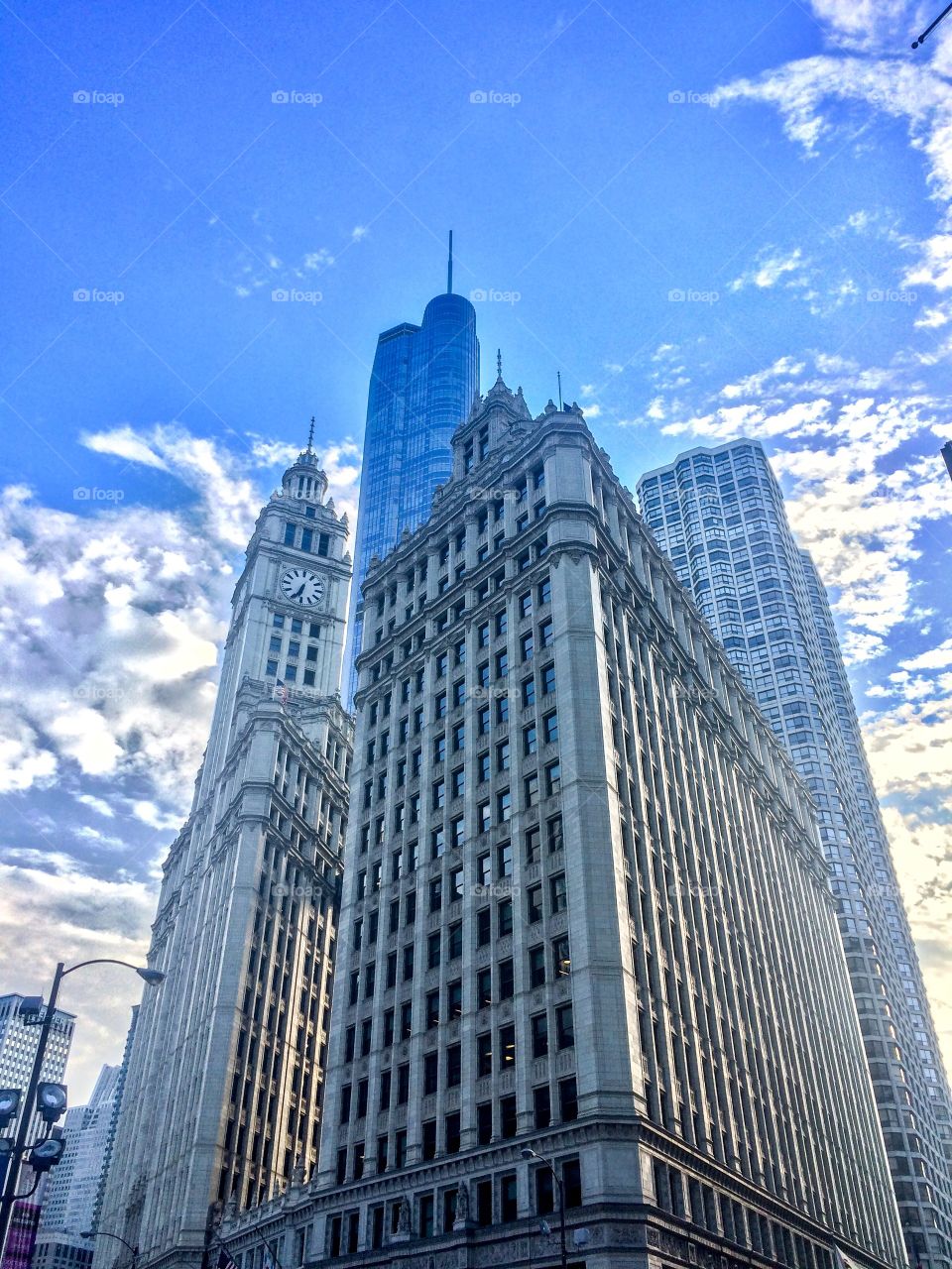 Building in Chicago, including the Trump Tower  