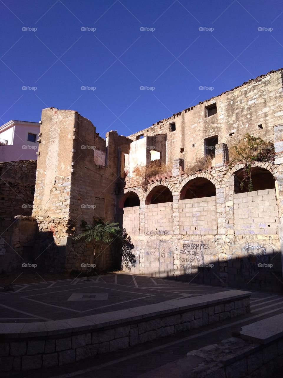 Editors' Choice: Photo of the Week