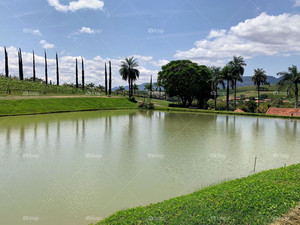 landscape of a winery