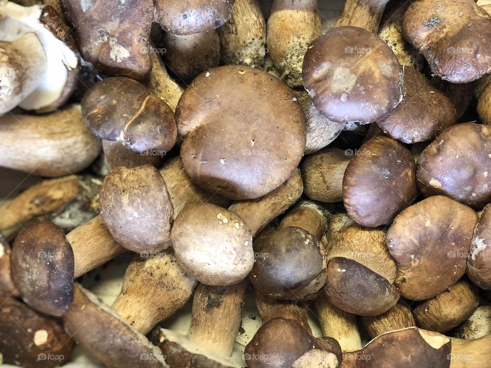 Porcini mushrooms from Romania