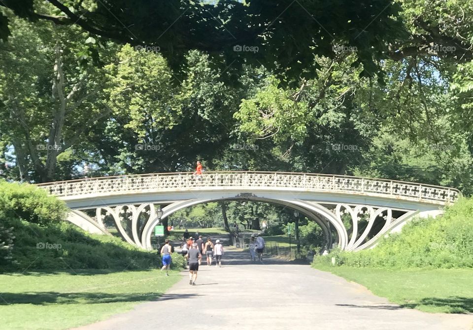 Central Park Bridge NYC 