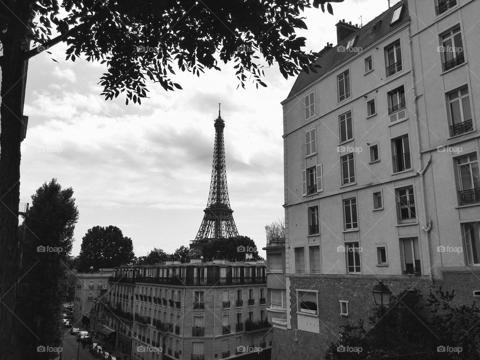 The Eiffel Tower from a Parisian hill 