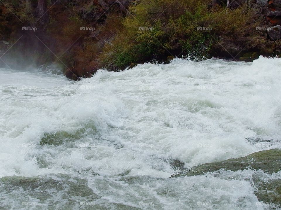 The roaring waters of the Deschutes River at Dillon Falls in the forest with spring runoff rushing through its rock canyon covered in hardened lava rock, moss, bushes, and ponderosa pine trees.