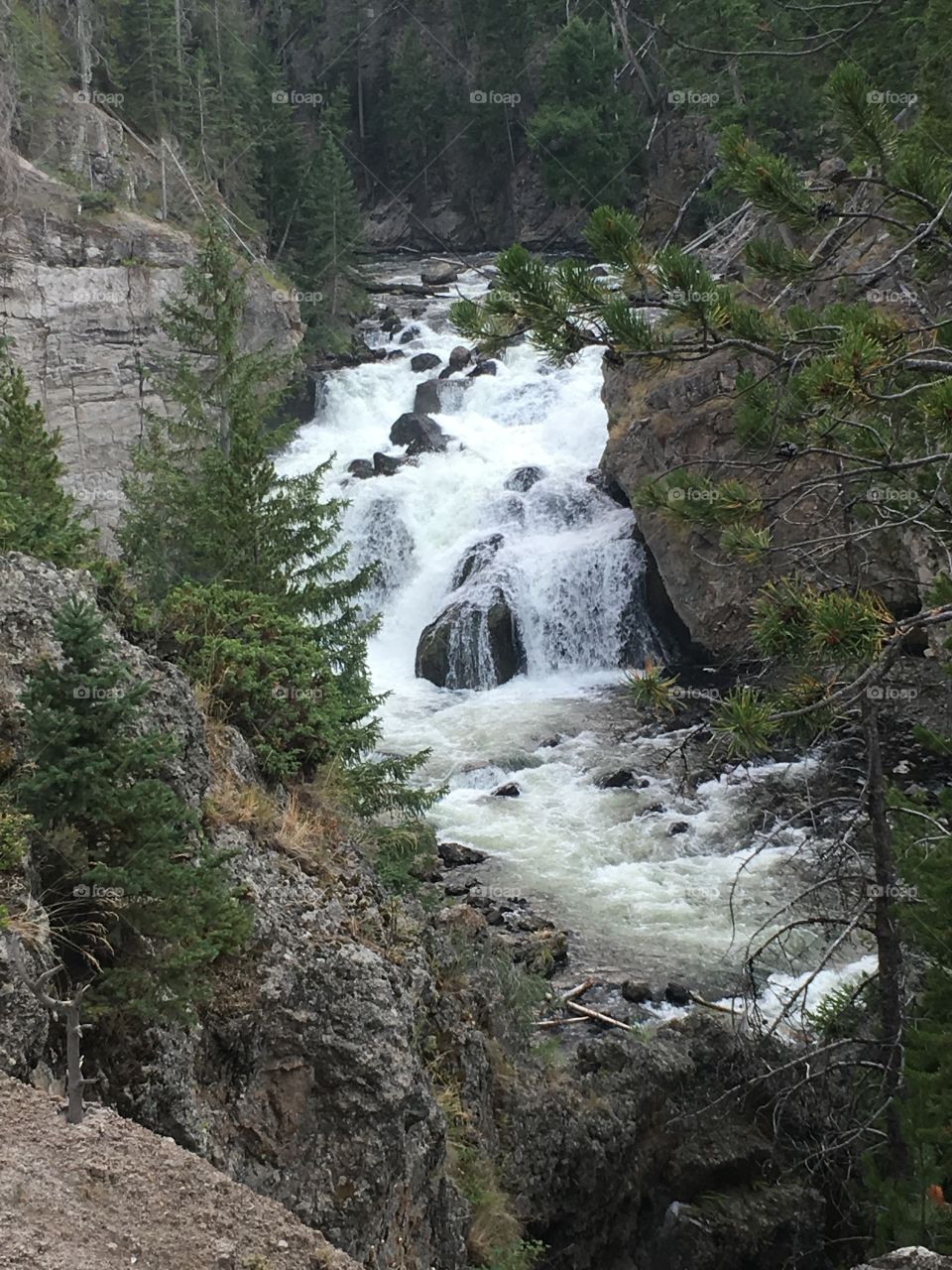 Firehose Falls in Yellowstone. The roar of the water was so amazing! 