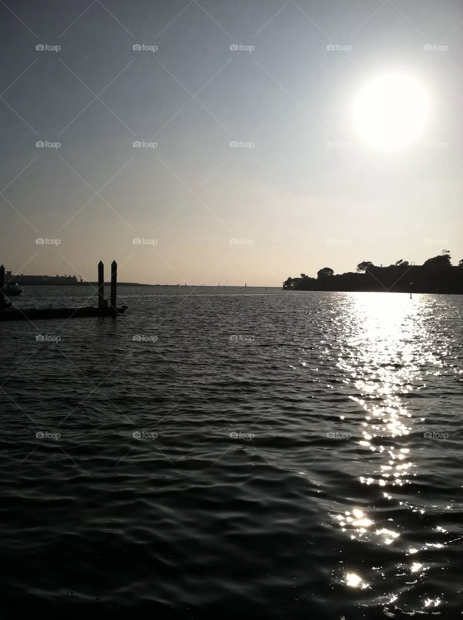 Sunshine