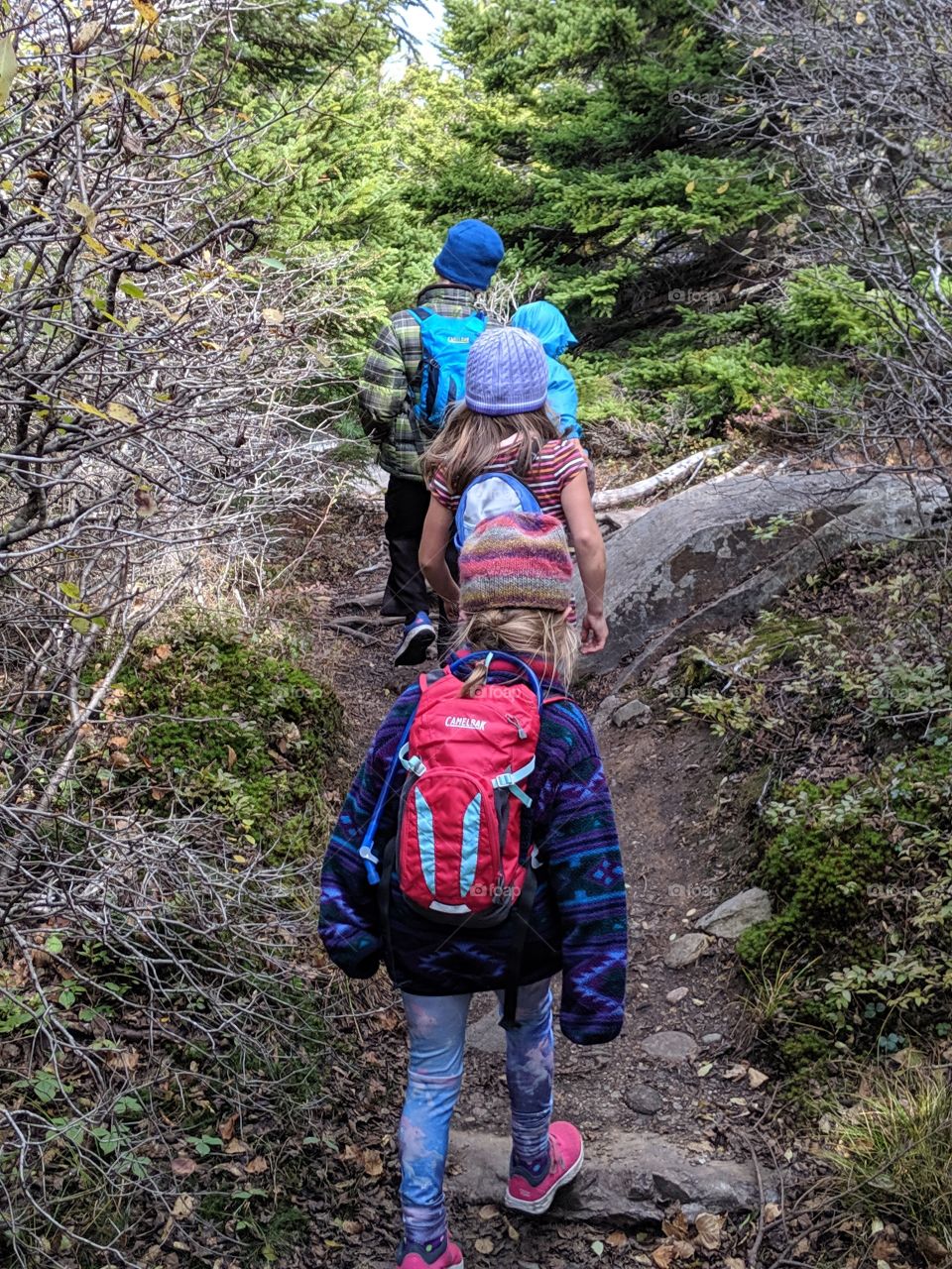 Hiking, Adventure, Girl, Trail, People