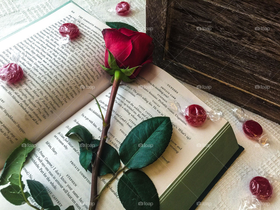 Red rose On a vintage book