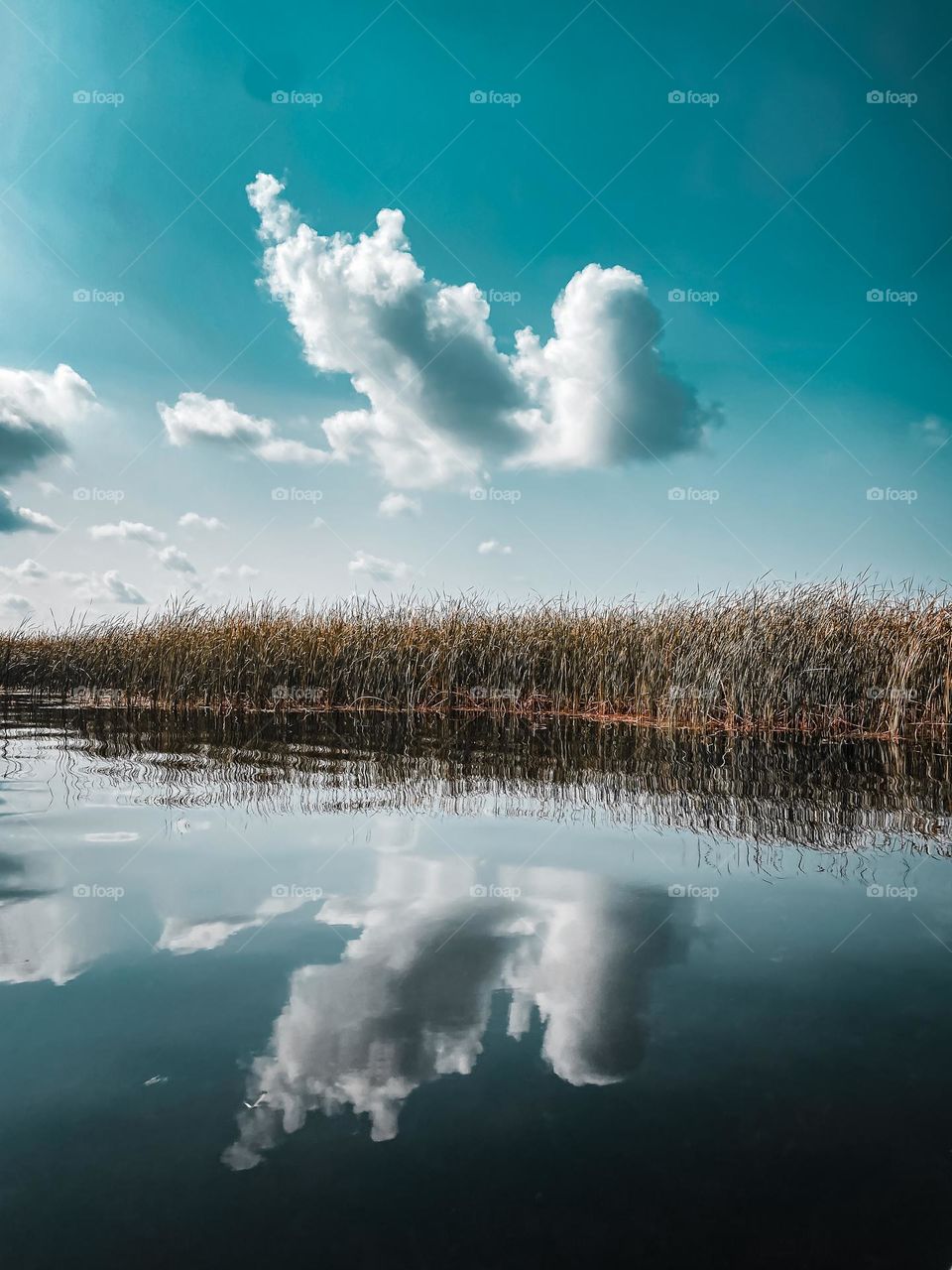 Smooth lake waters lead to the reflection of clouds and grasses.