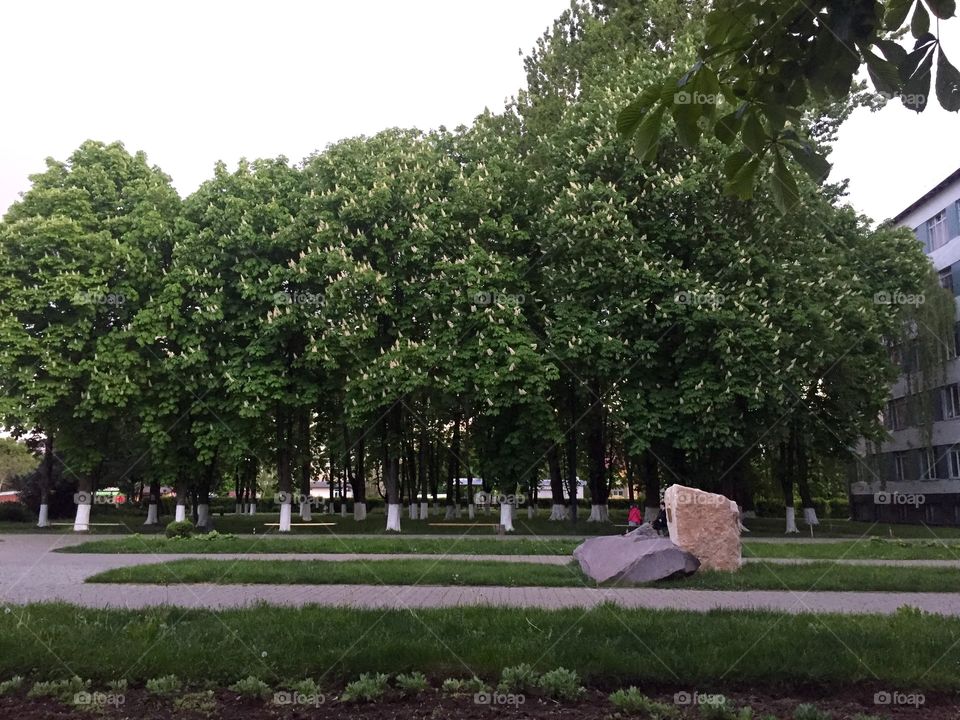 A garden on the territory of Oil and Gas national university in Ivano-Frankivsk