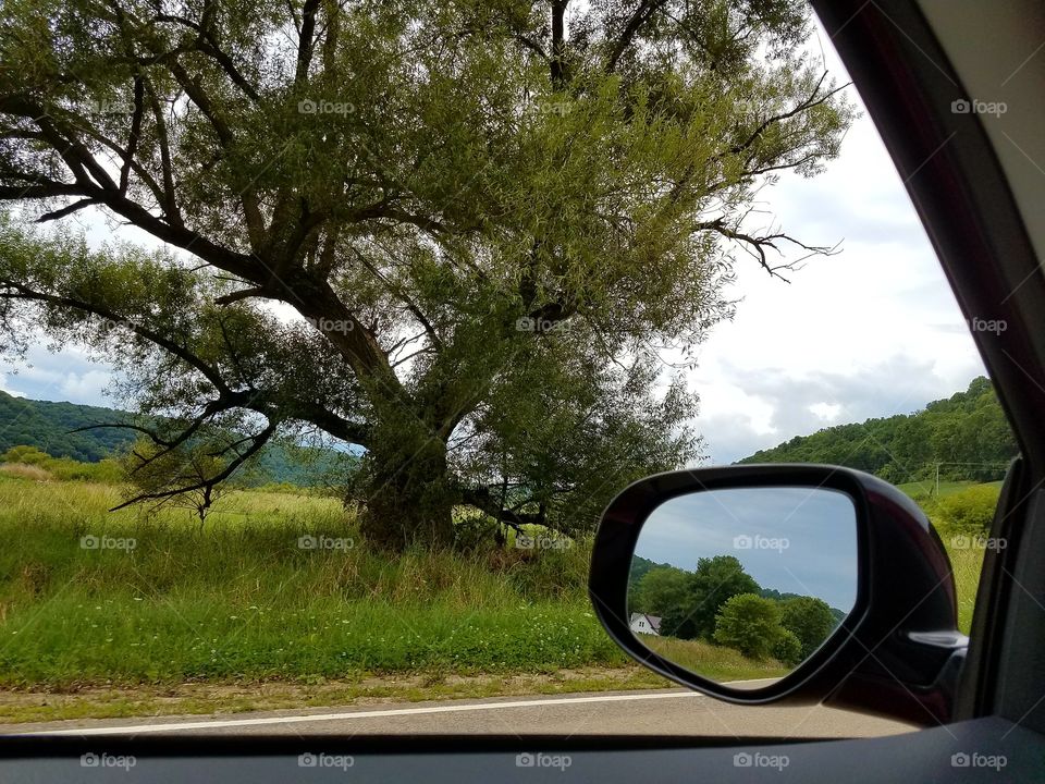 Driving the Back Roads and enjoying everything around us