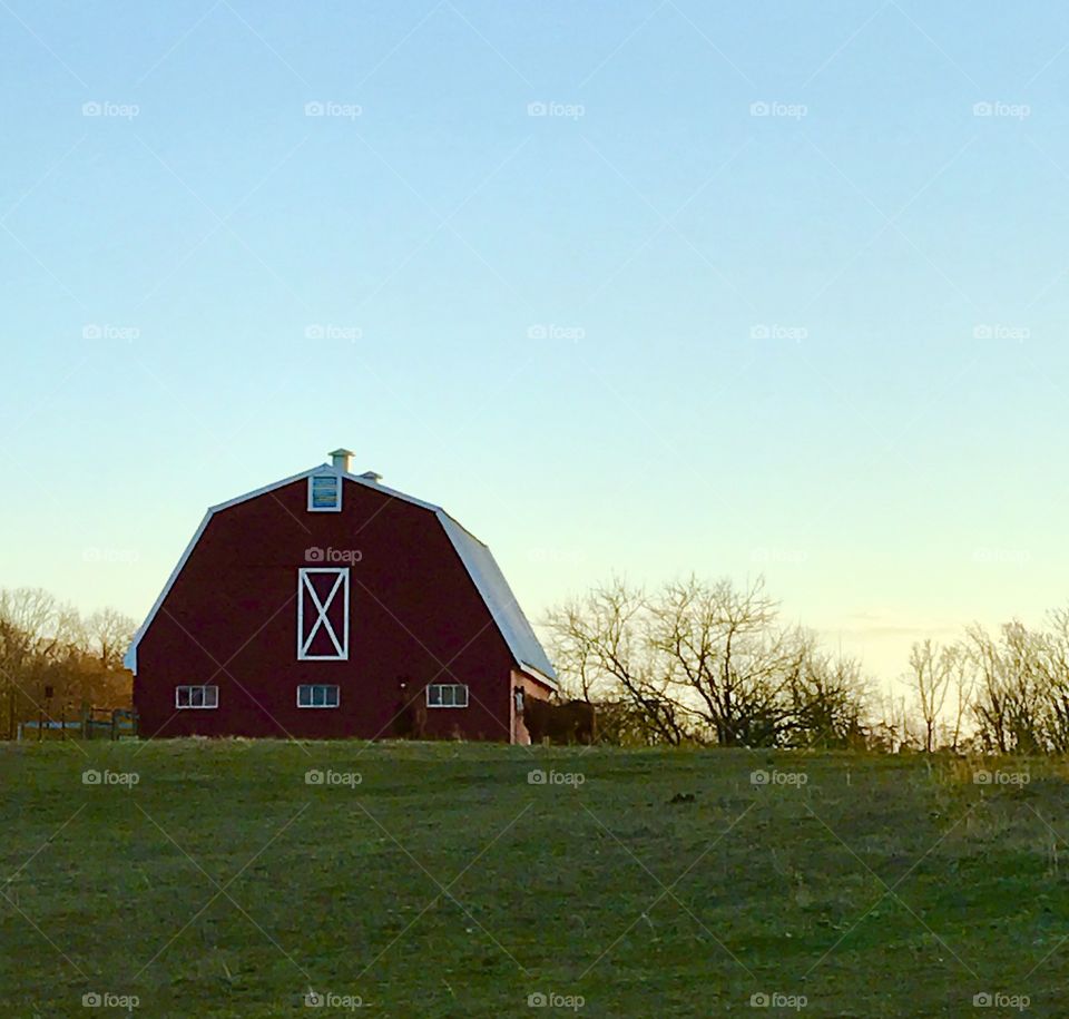 Barn and Field