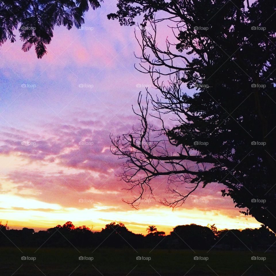 PURPLE COLOR - 🌄🇺🇸 An extremely beautiful dawn in Jundiaí, interior of Brazil. Cheer the nature! / 🇧🇷 Um amanhecer extremamente bonito em Jundiaí, Interior do Brasil. Viva a natureza!