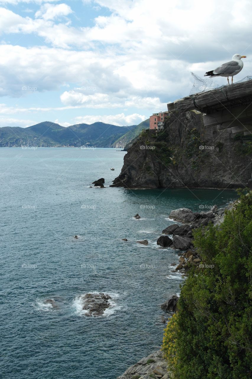 Cinque Terre