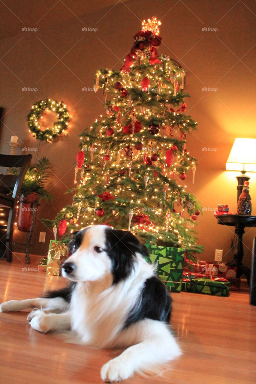 ready for the Christmas party