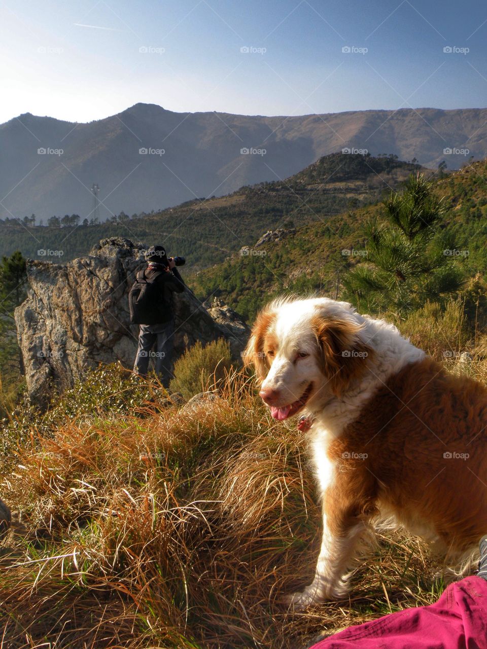 Photographer with dog at valley