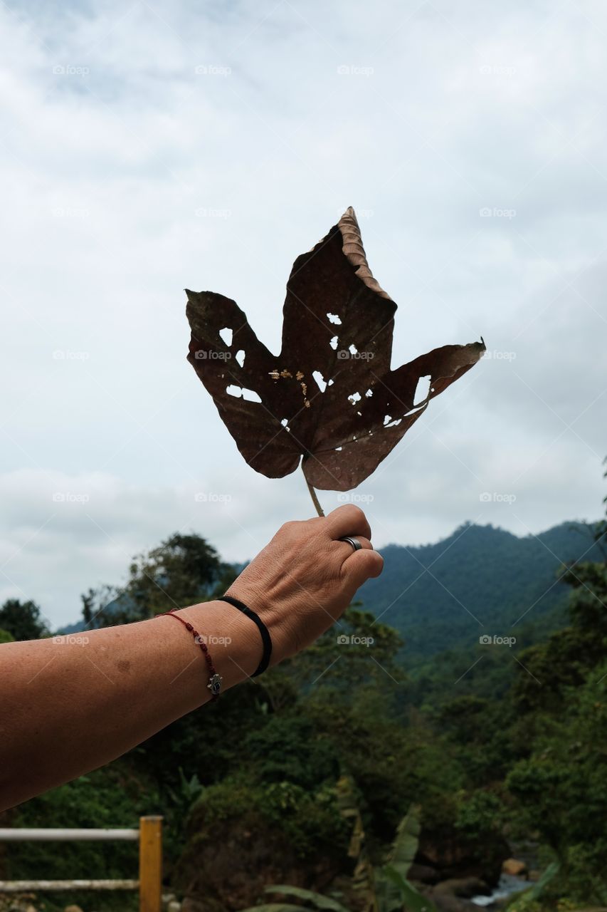 Dry leaf in hand showing the autumn sky