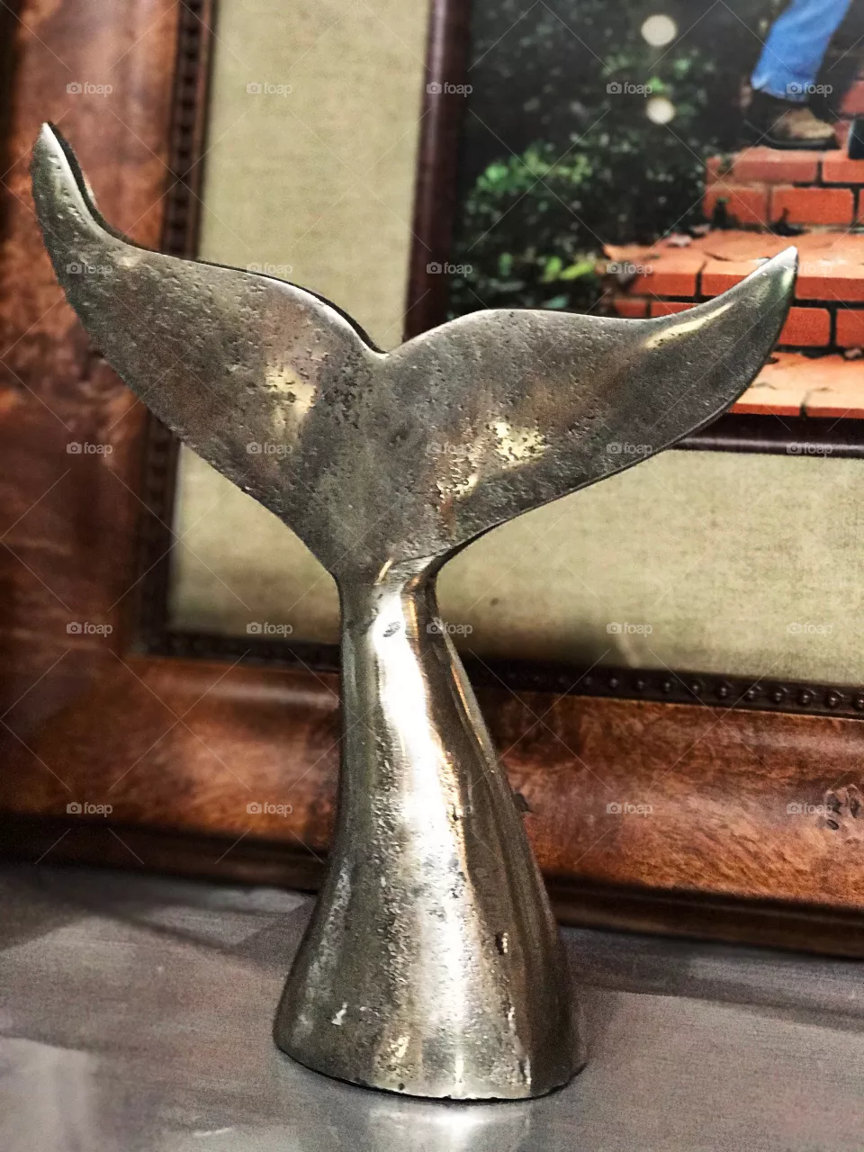 Whale Tail