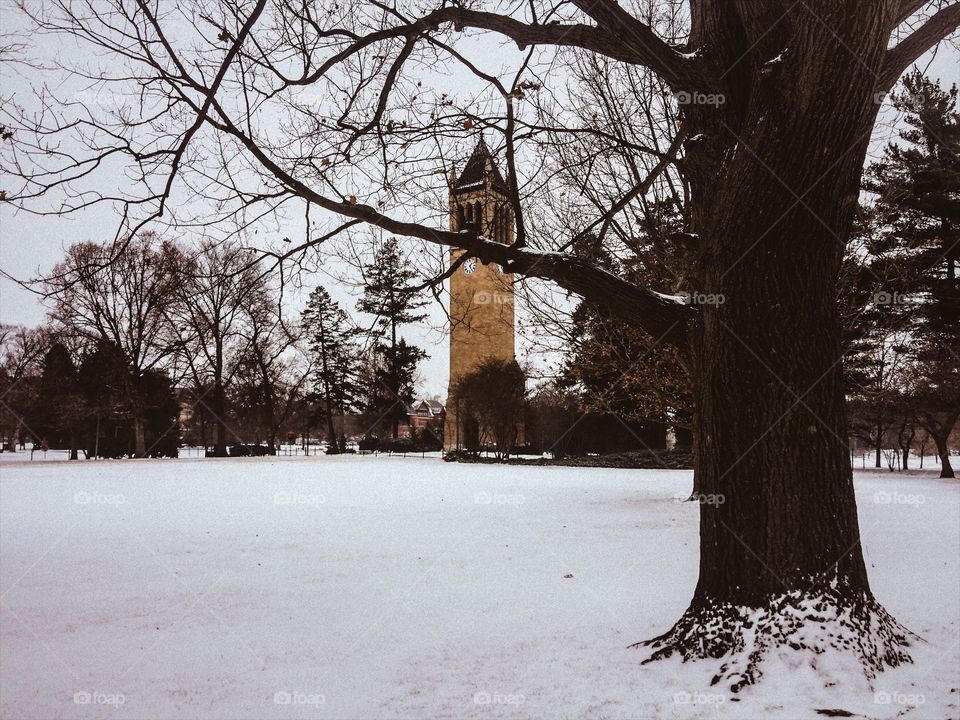 The Campanile -Iowa State University 📸