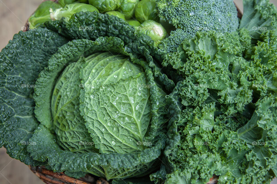 Green cabbage mix