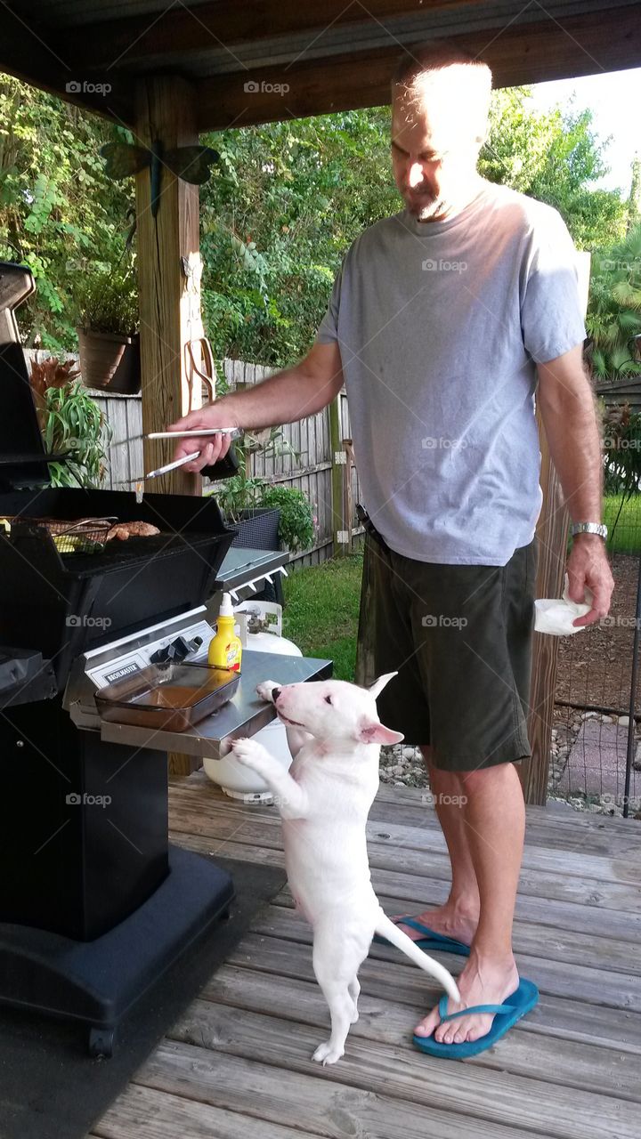 Tater Tot likes to help grill