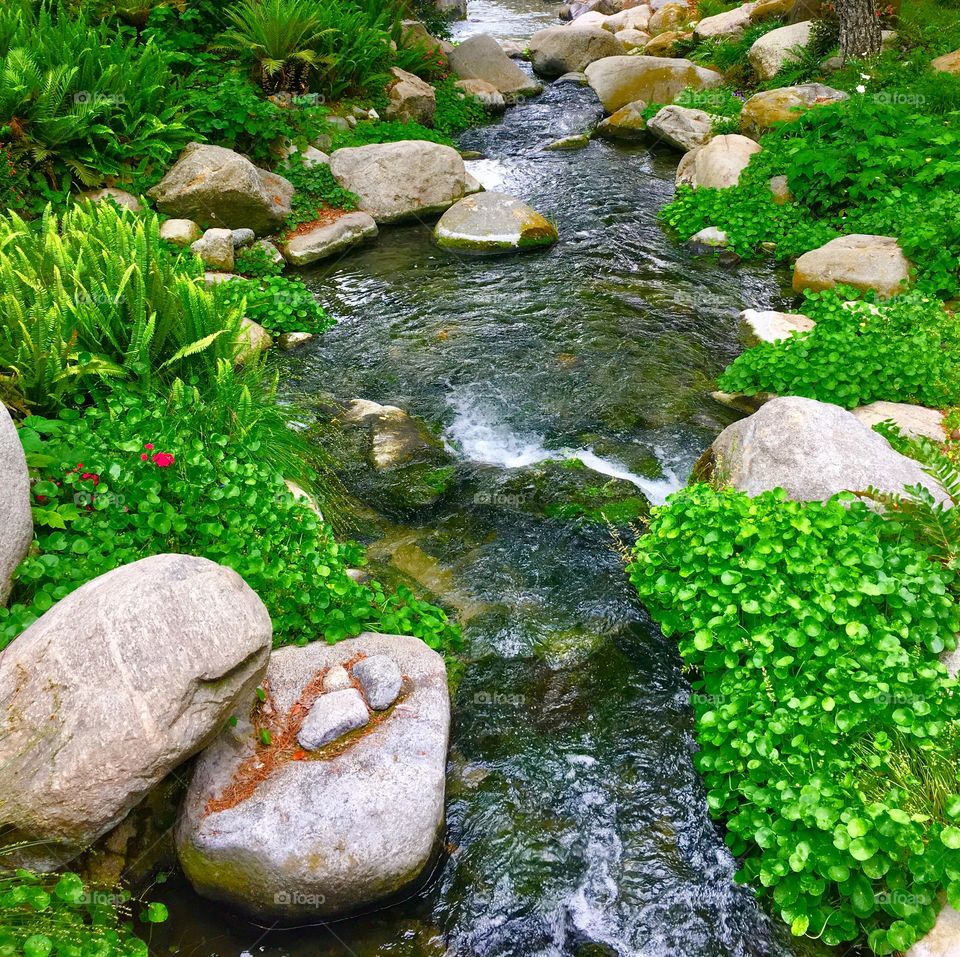 Colorful scenery, stream bordered by boulders and bushes