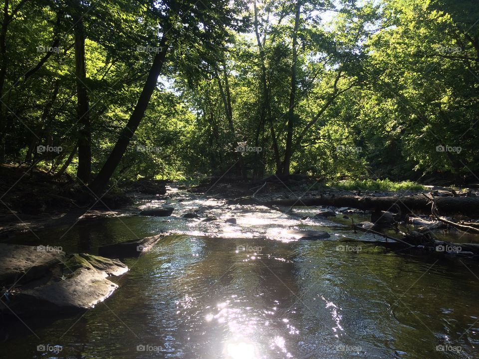 Cuyahoga River in Summer