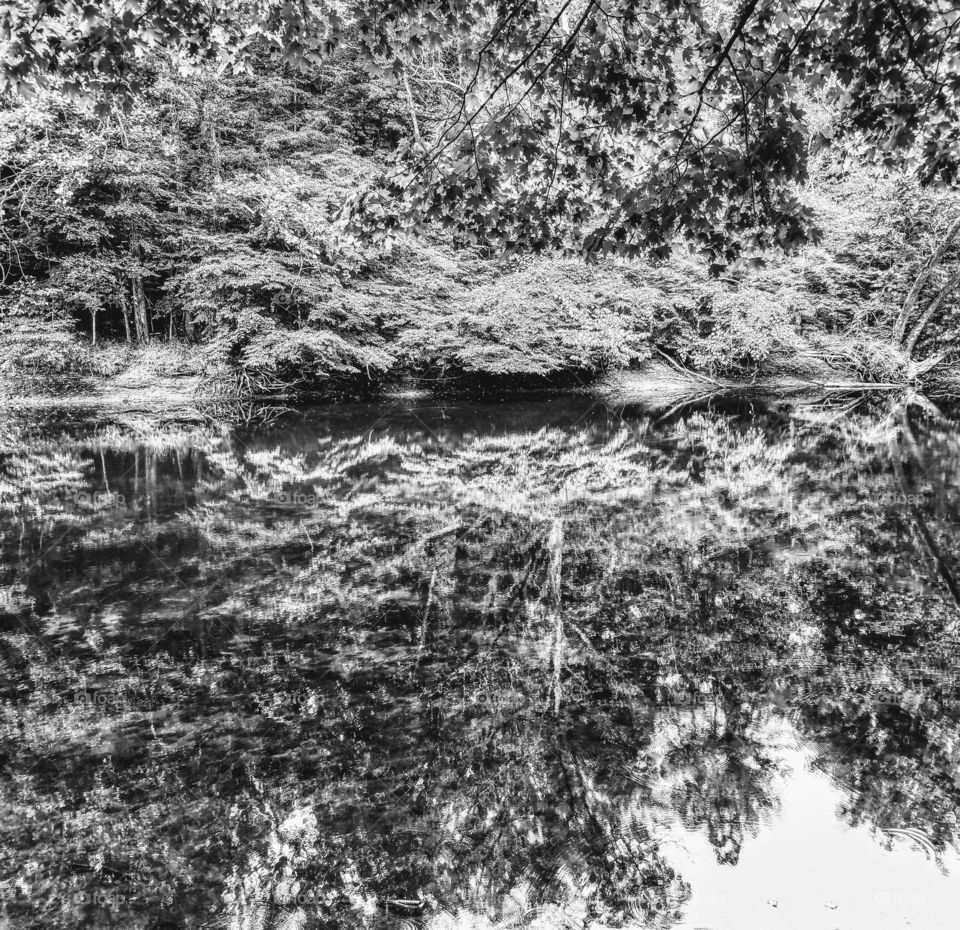 Lazy Grand River on a hot summer's day mirror like reflection tossed upon itself black and white