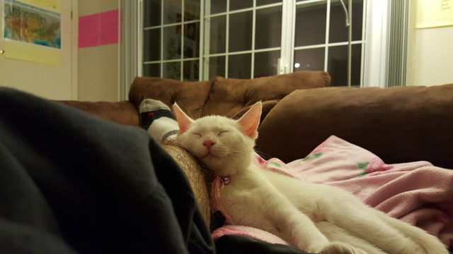 Nap time