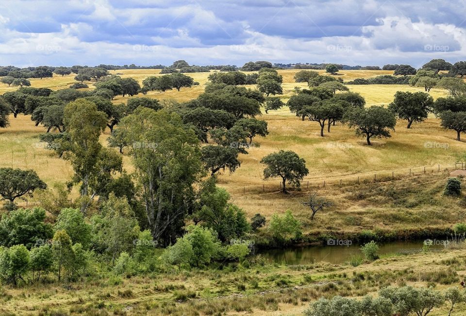 Tapada da Ajuda, 2017, Portugal