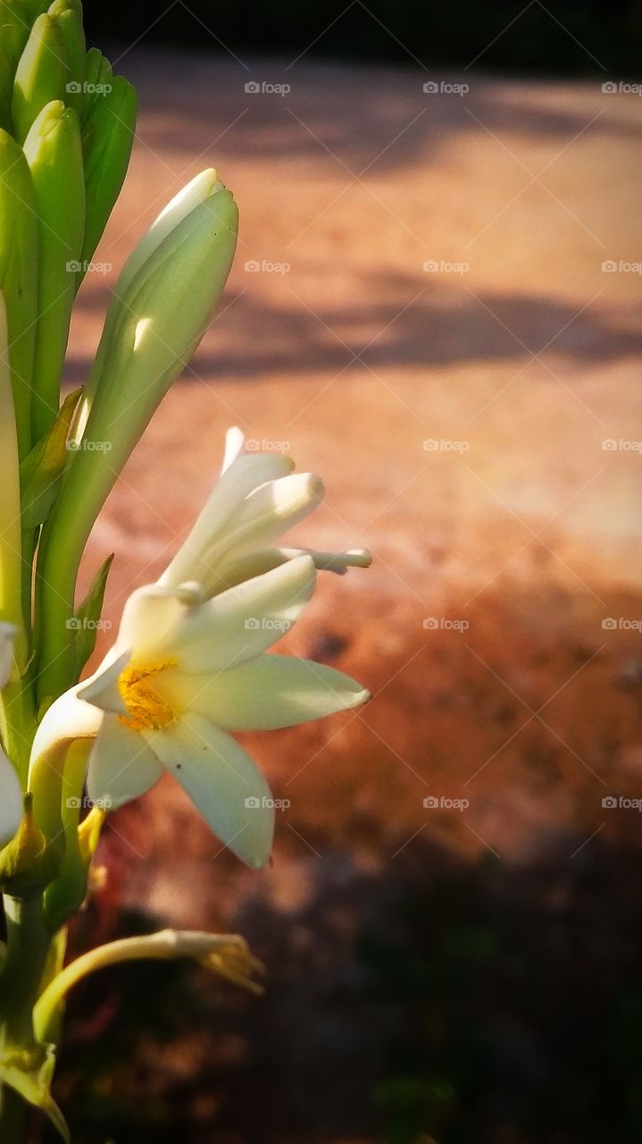 stay calm and look into the nature