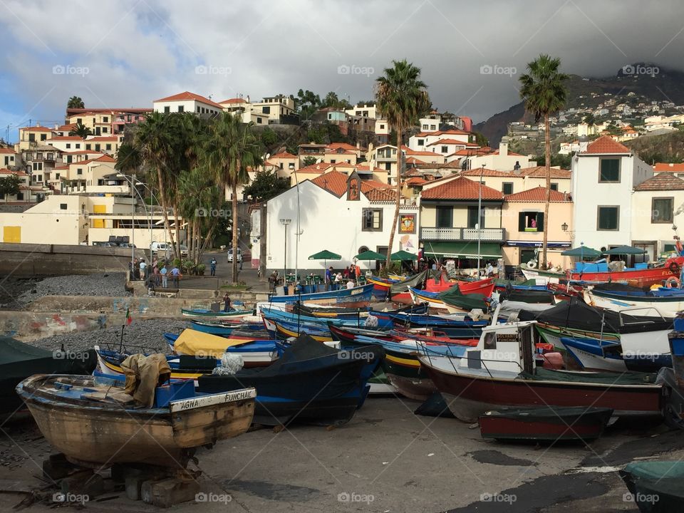 Funchal Boats