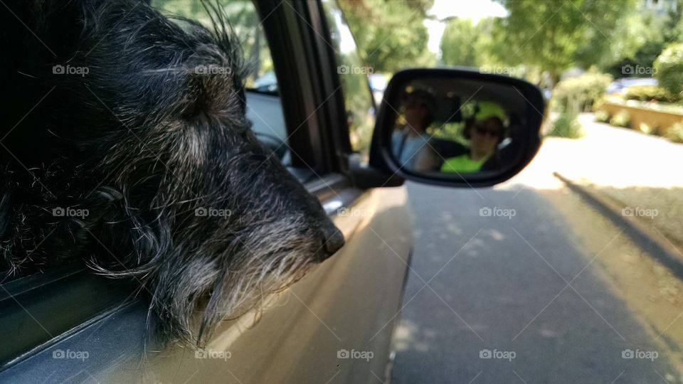 Car ride. A car ride with the woofer.