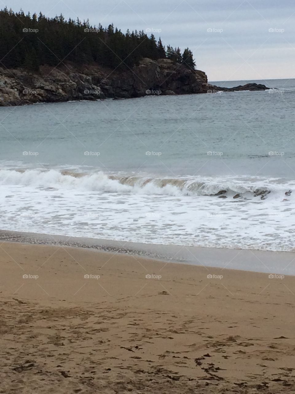 Sand beach Acadia 