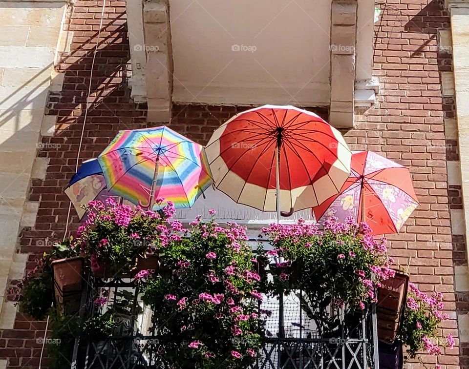 Umbrellas🏳️‍🌈 Building 🏳️‍🌈 Architecture 🏳️‍🌈 Urban 🏳️‍🌈