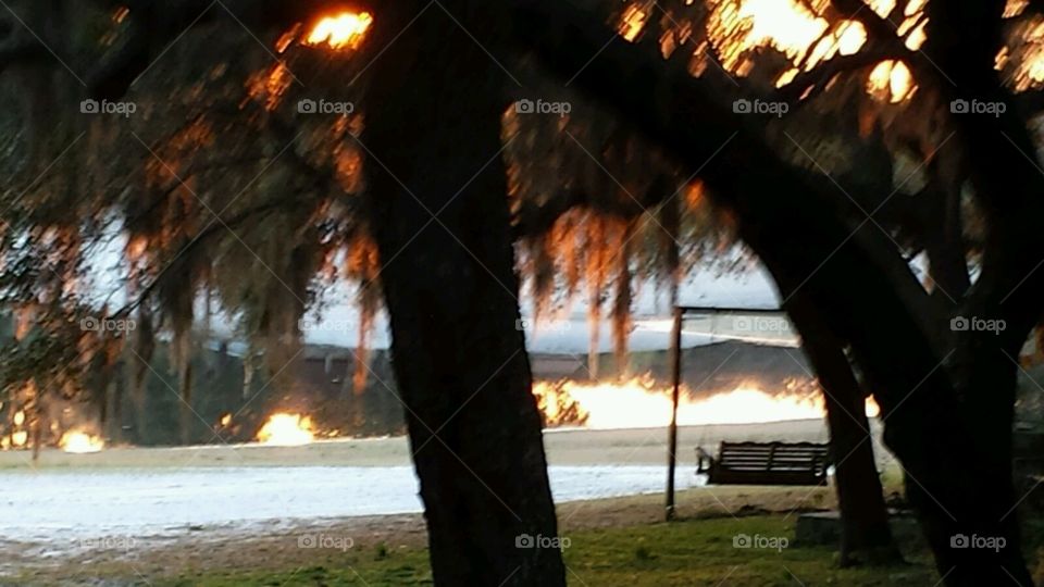 evening. sun setting on our back yard