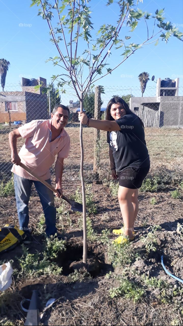 plantar un árbol