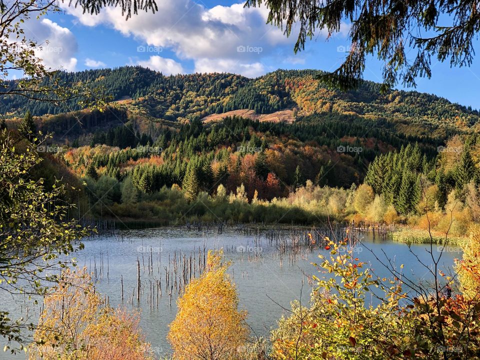 Lake in autumn